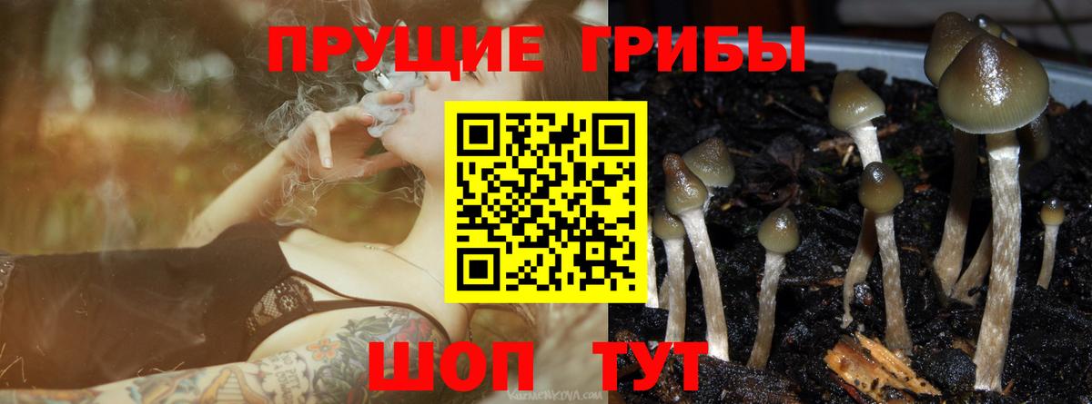 Галлюциногенные грибы мицелий  Вход с VPN  Железноводск 